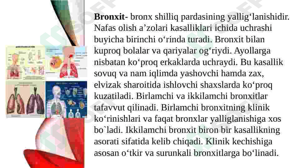 Nafas a‘zolari kasalliklaridagi funksional - instrumental tekshiruvlarrentgenogrammalar interpretatsiyasi 2