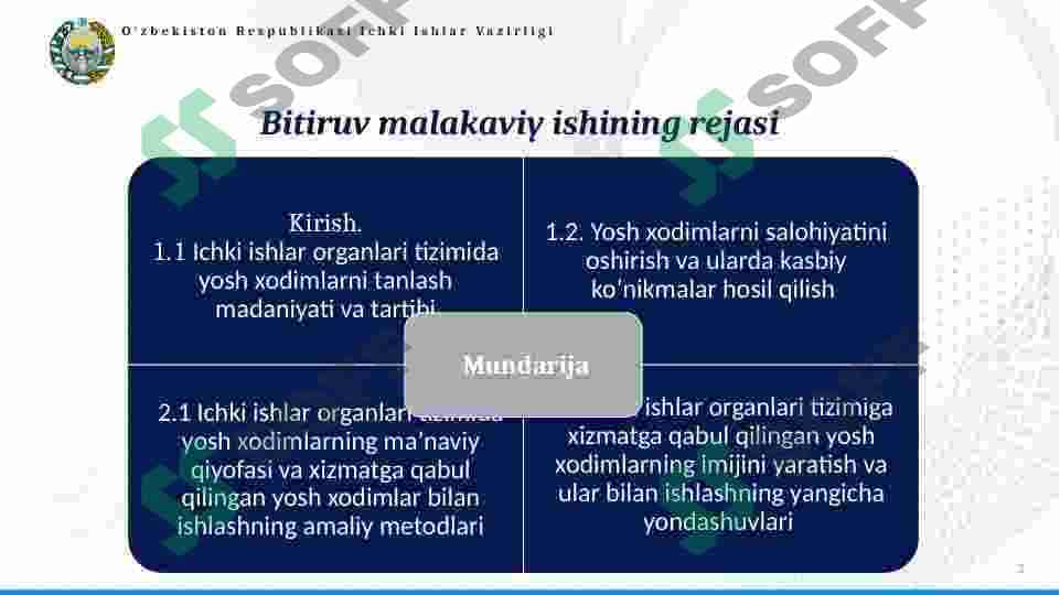 ICHKI ISHLAR ORGANLARI TIZIMIDA YOSH XODIMLARNI XIZMATGA MOSLASHUV XUSUSIYATLARI 2
