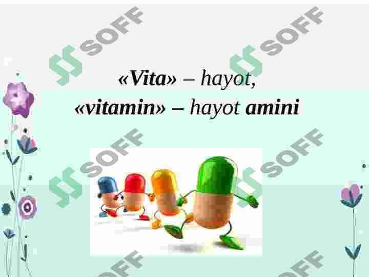 Vitamin saqlovchi dorivor oʻsimliklar 2