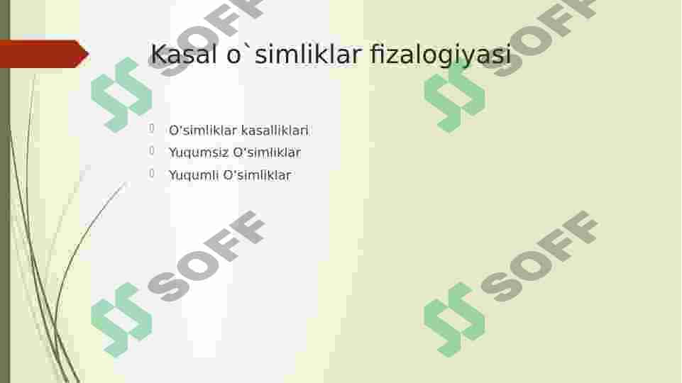 Kasal oʻsimliklar fiziologiyasi 2