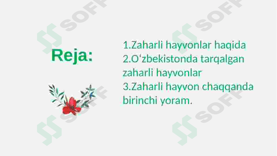 Tibbiyotda ahamiyatga ega zaharli hayvonlar 2