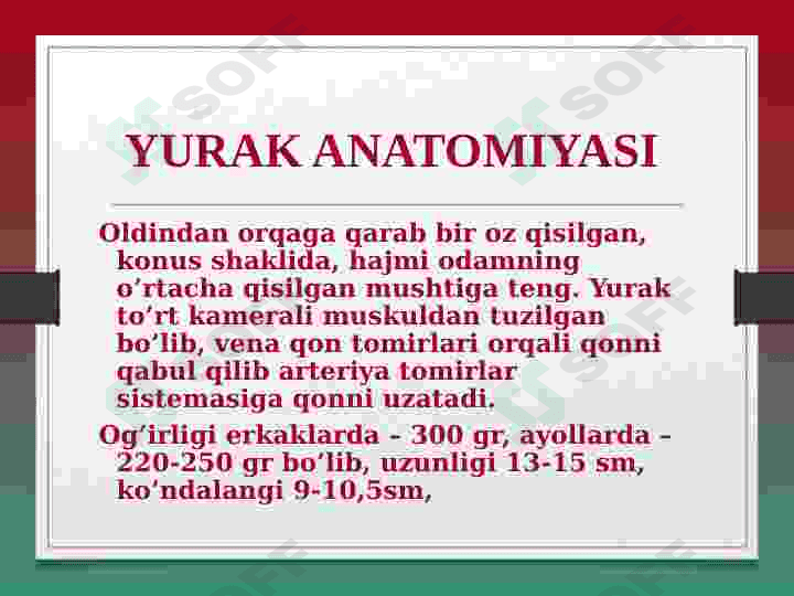 YURAK ANATOMIYASI 2