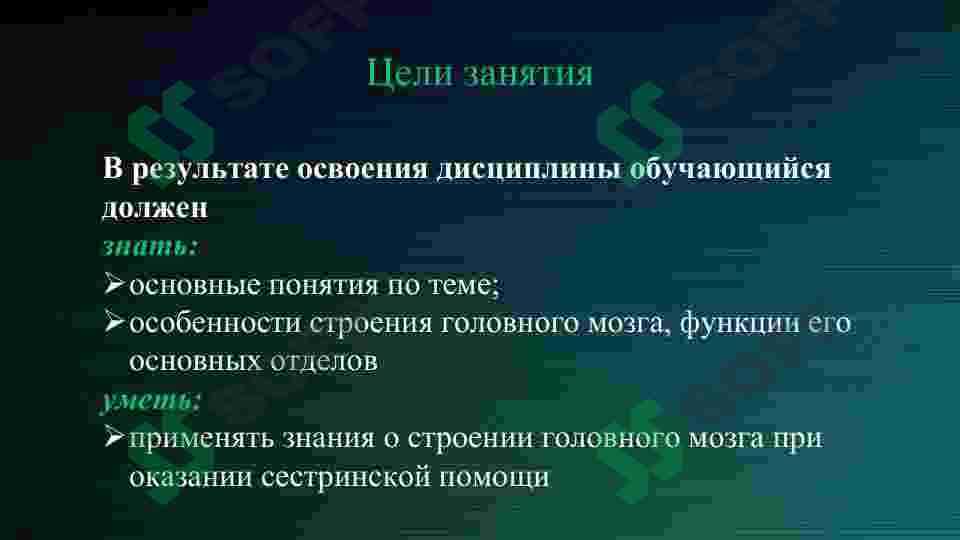 Отделы головного мозга 2