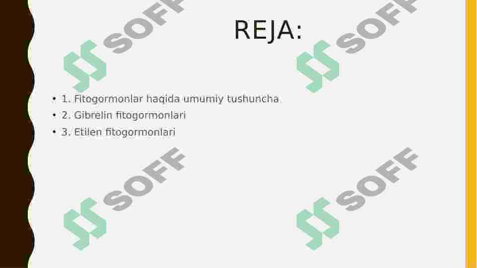 etilin va gibberelinlarni va  ularning ta’sir mexanizmlari 2