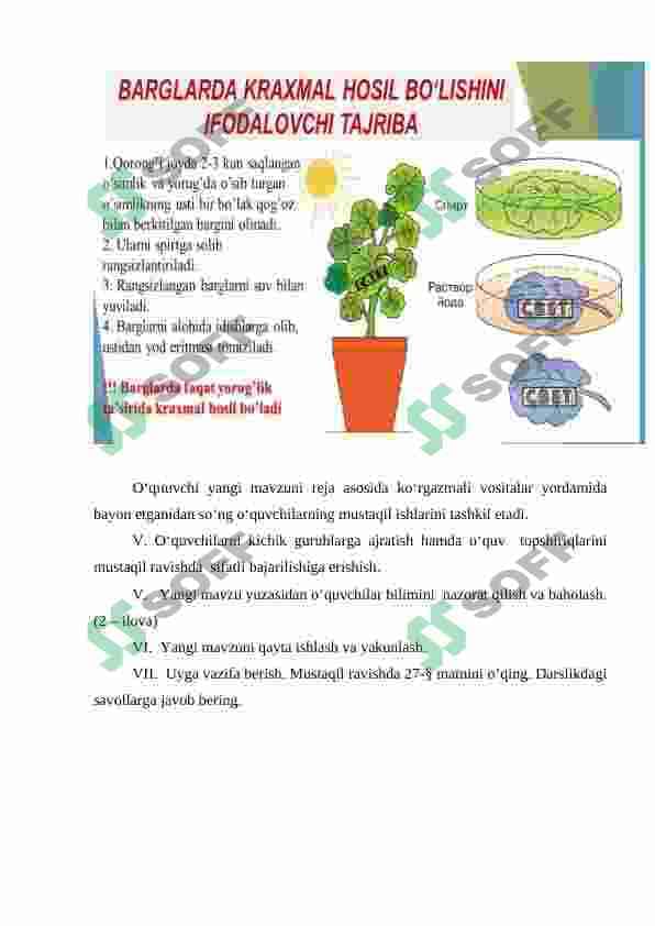 bargda organik moddalar hosil bo'lishi 2