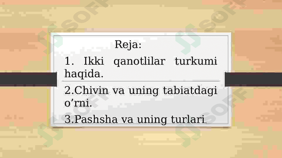 Ikki qanotlilar turkumi haqida. 2