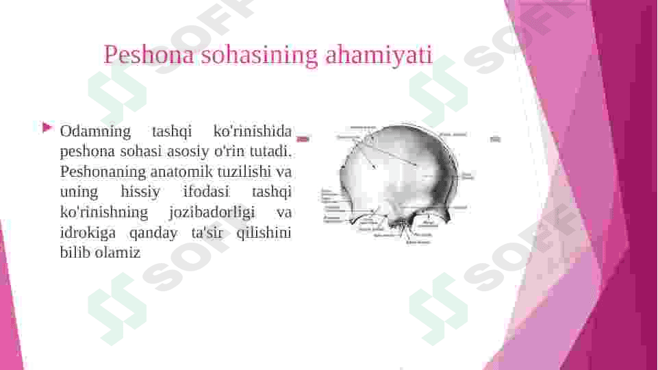 Peshona sohasining ahamiyati 2