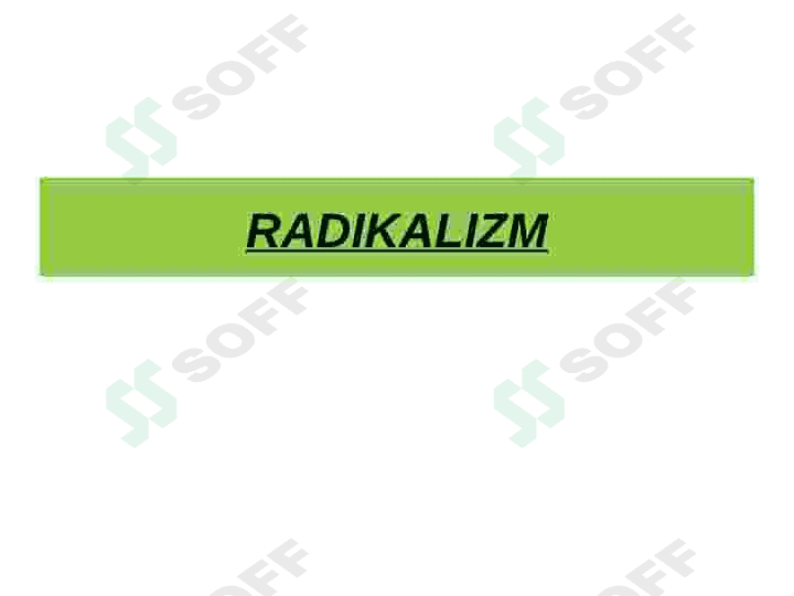 Radikalizm, Ekstremizm, Terrorizm 2