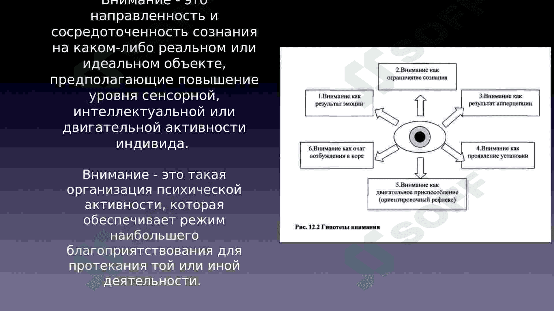Внимание. Ощущения и восприятие. 2