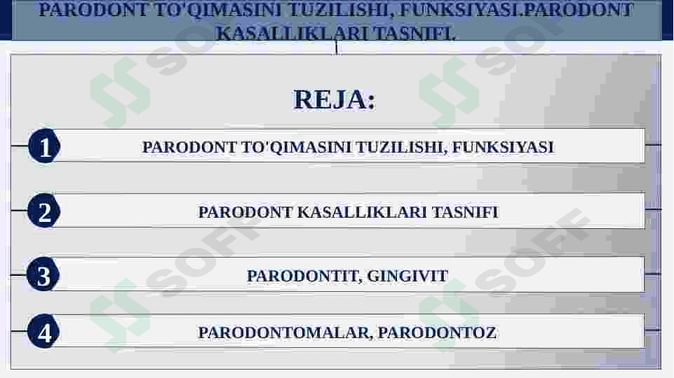PARODONT TO'QIMASINI TUZILISHI, FUNKSIYASI.PARODONT KASALLIKLARI TASNIFI. 2