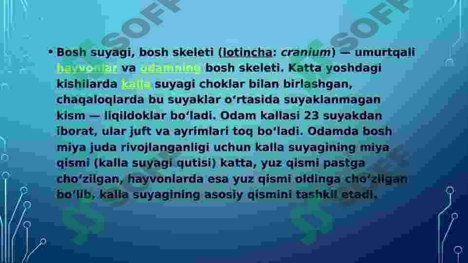 kalla suyaklarining rentgenanatomiyasi. kallaning jinsiy va shaxsiy tafovutlari 2