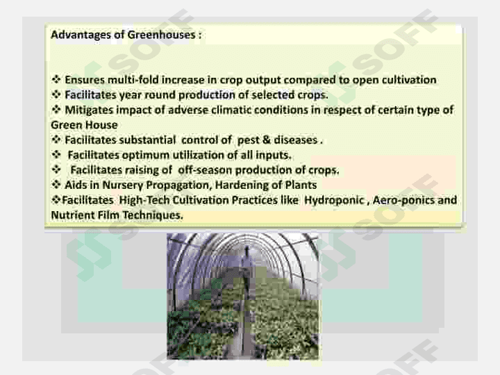 Green houses 2