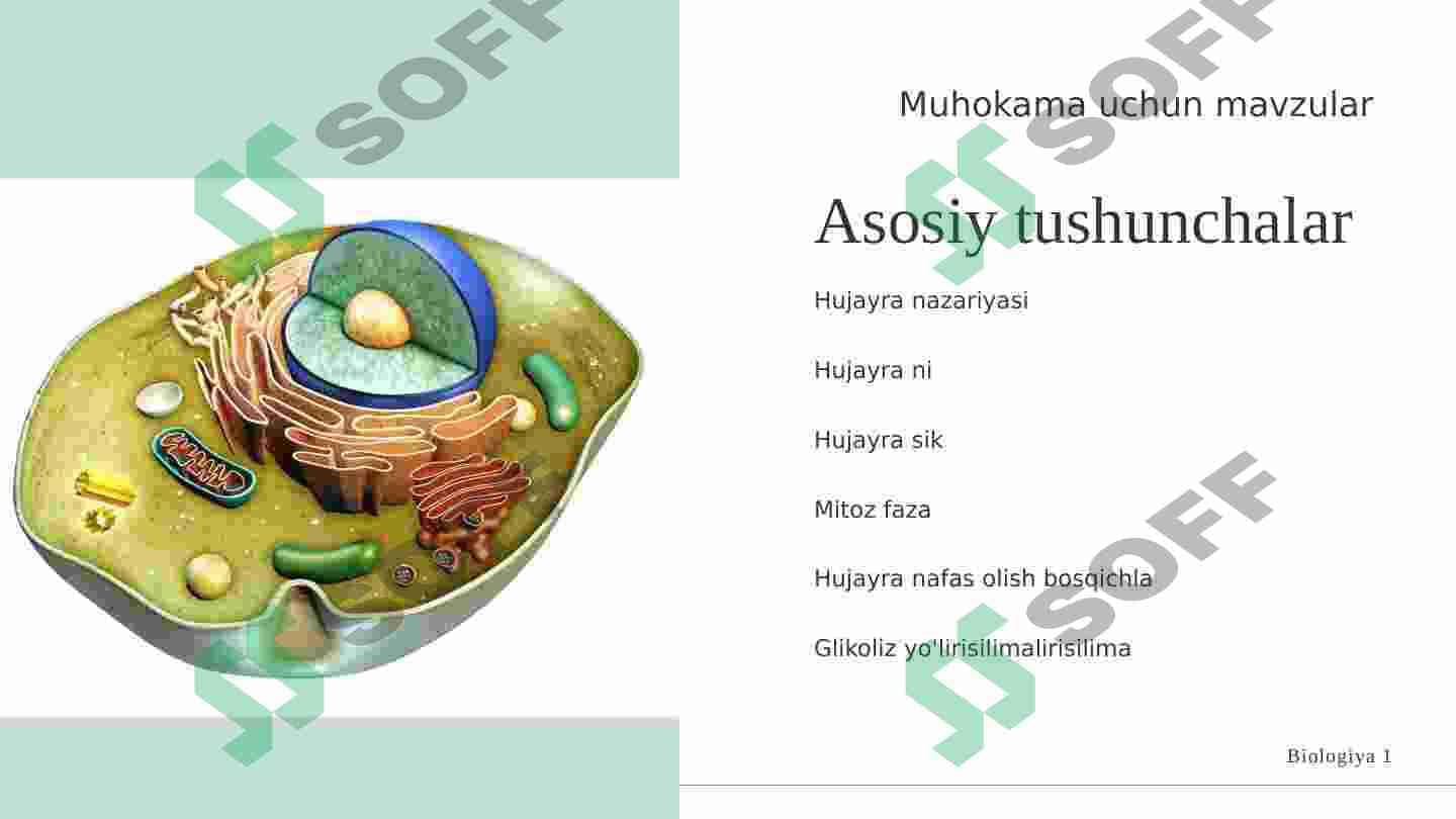 Hujayraning asosiy nazariyasi va tuzilishi. 2