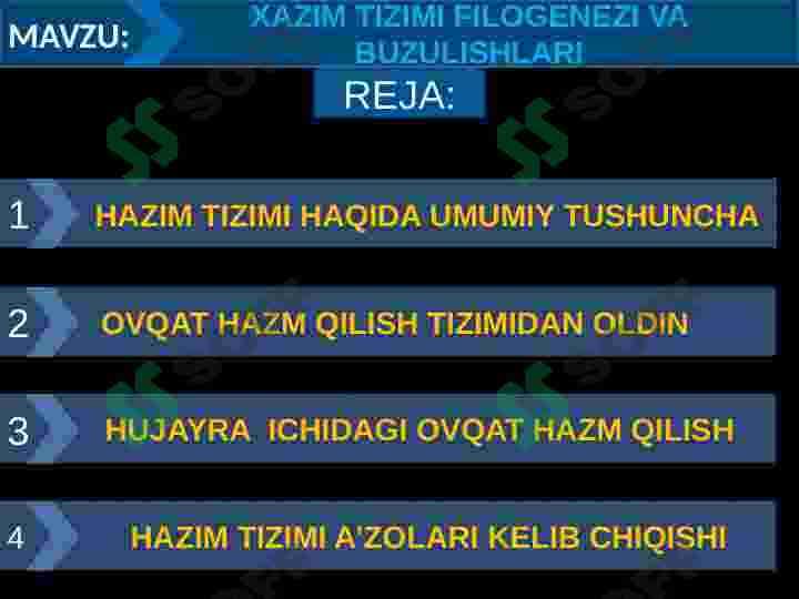 XAZIM TIZIMI FILOGENEZI VA BUZULISHLARI 2