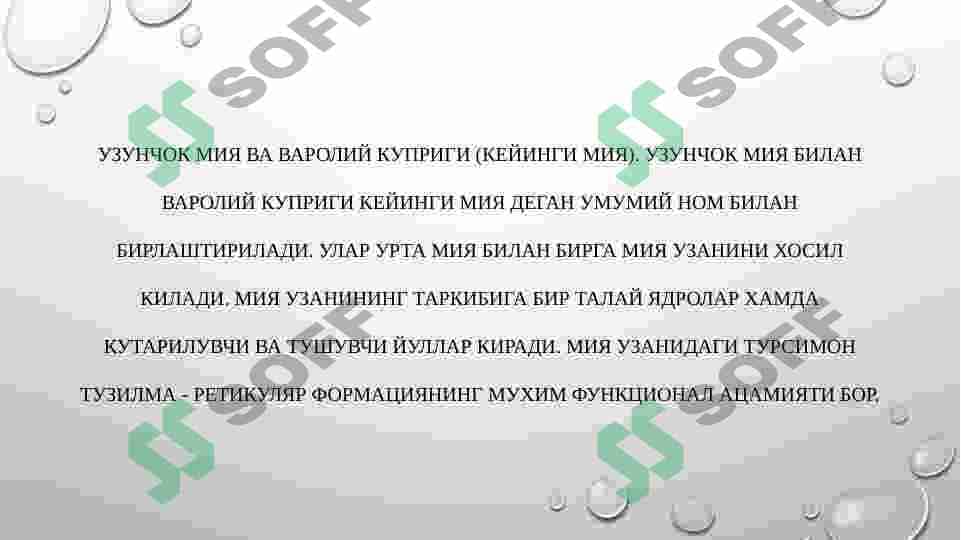 UZUNCHOQ , O`RTA , ORALIQ  MIYA , MIYACHA VA KATTA YARIM SHARLAR PUSTLOG`I FIZIOLOGIYASI 2