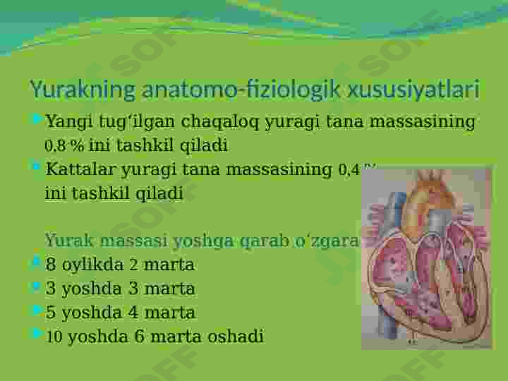 Bolalarda qon aylanish tizimining anatomo-fiziologik hususiyatlari 2