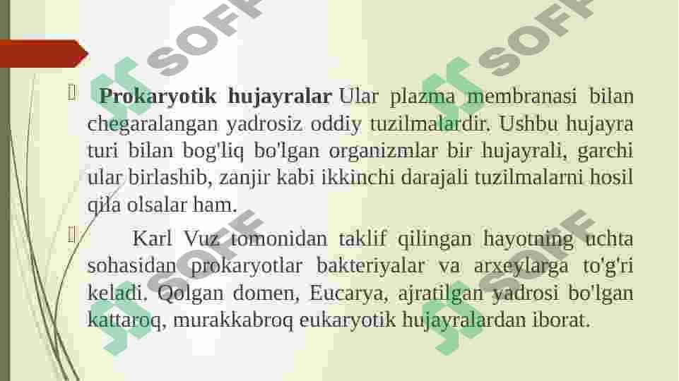 PROKARIOTLAR MORFOLOGIYASI VA HUJAYRA TUZILISHI 2