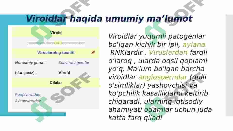 Viroidlar va ularning ahamiyati 2