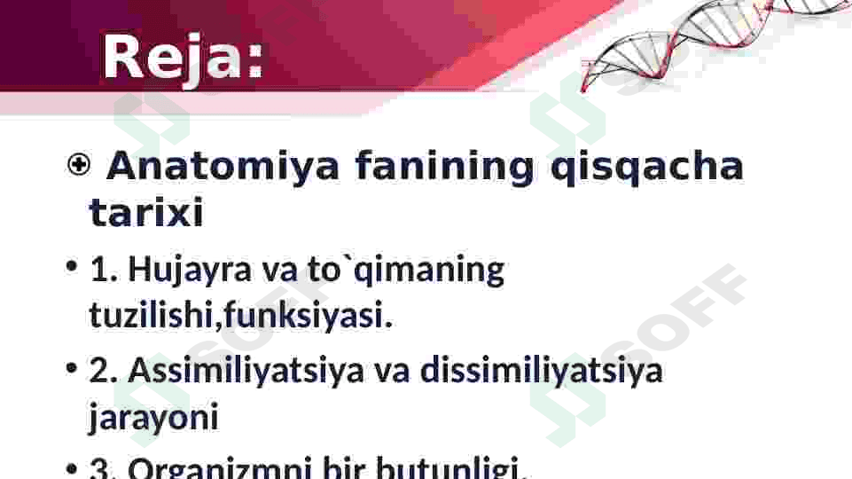 Odam anatomiyasi va fiziologiyasi. 2