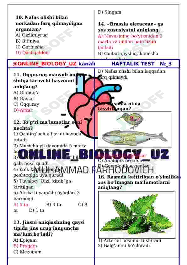 BIOLOGIYA FANIDAN DTM TESTLARI-30 TALIK 2