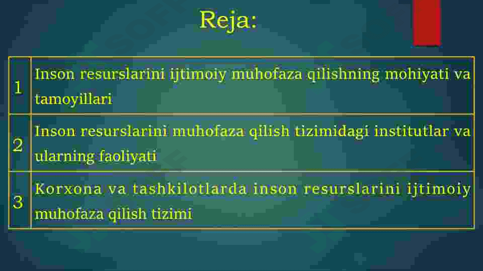 Inson resurslarini ijtimoiy muhofaza qilish tizimi 2