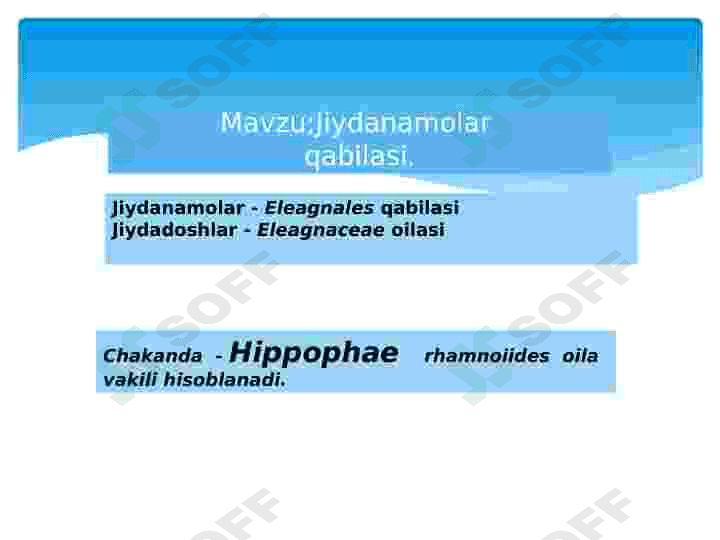 Jiydanamolar qabilasi 2