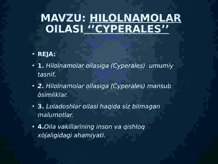 Hilolnamolar oilasi 2