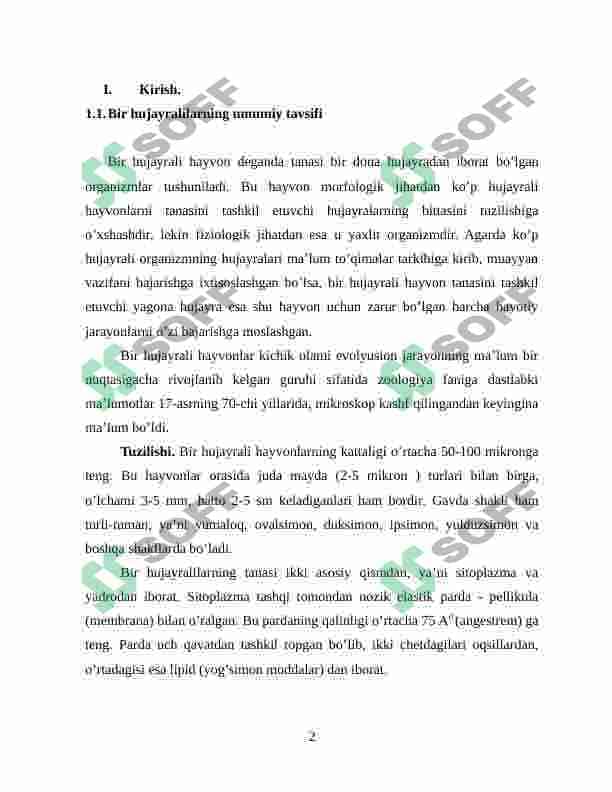 UMIRTQASIZ HAYVONLAR KELIB CHIQISHIDA FILOGENETIK BOG‘LIQLIGI 2