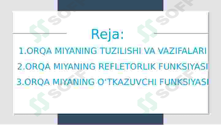 Orqa miyaning reflektorlik faoliyati 2
