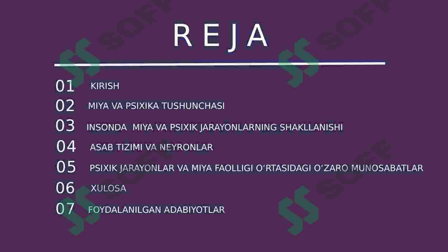 Miya va psixikaning o’zaro munosabat muammolari 2