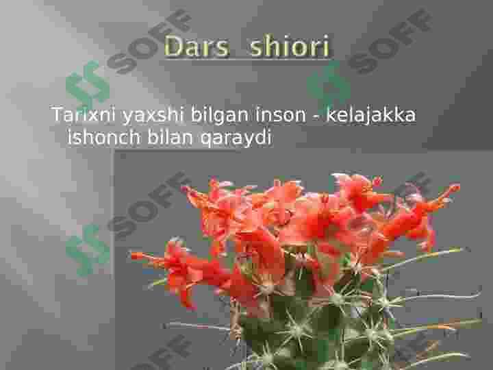 Transkripsiya sikli.DNK RNK BILAN BOGʻLANISHI 2