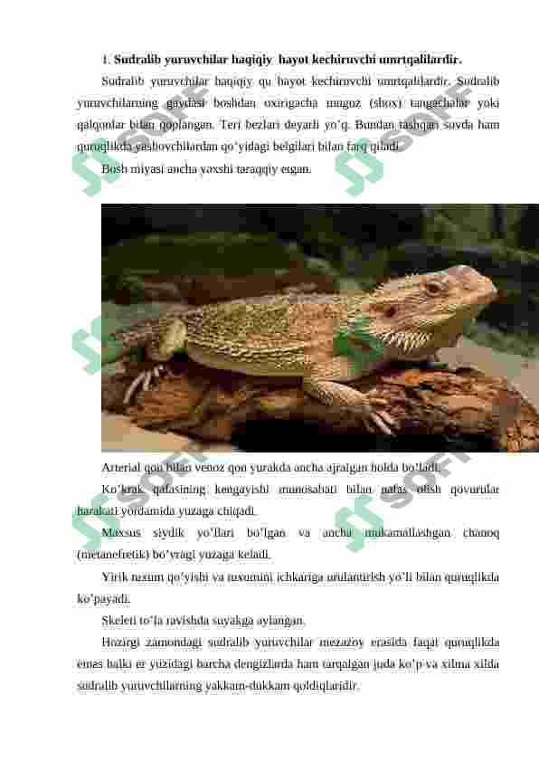 Sudralib yuruvchilar sinfi. Ildam kaltakesakning tashqi tuzilishi va skeleti 2
