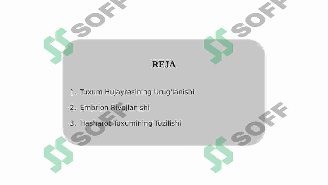 Hasharotlarning embrianal rivojlanishi 2