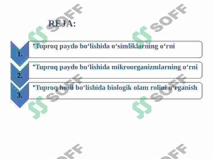 Tuproq hosil bo'lishida biologik omilning roli 2