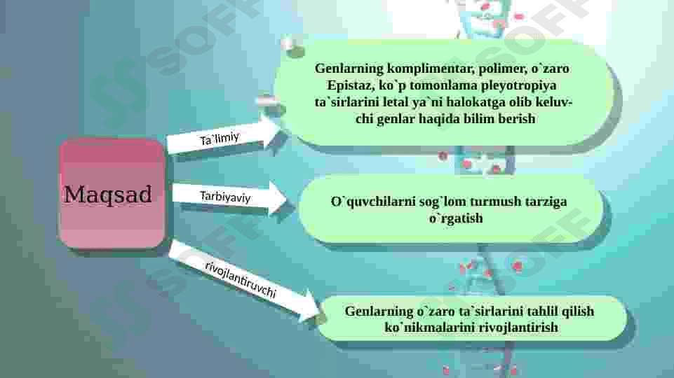 Noallel genlarning o`zaro ta’siri 2