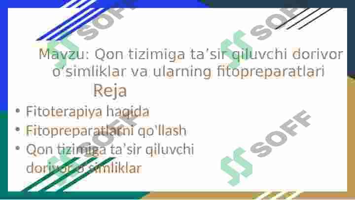 Qon aylanish tizimiga taʼsir qiluvchi dorivor oʻsimliklar 2