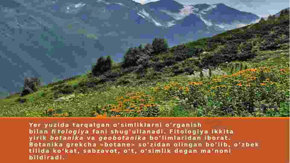 O’SIMLIKLAR DUNYOSI 2