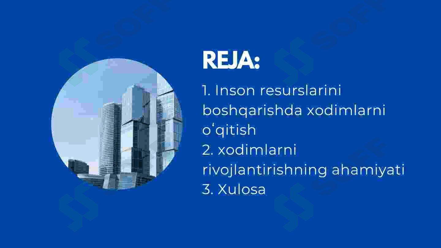 Inson resurslarini boshqarishda xodimlarni o'qitish va rivojlantirishning ahamiyati 2