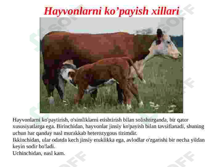 Hayvonlarning ko’payish xillari va undan seleksiyaga foydalanish 2