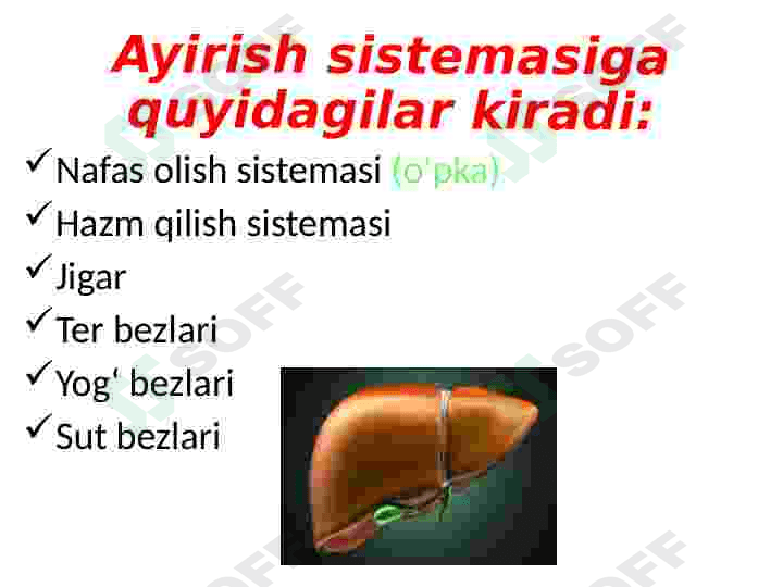 Fiziologiya buyrak 2 2
