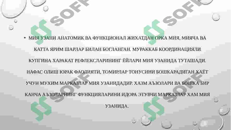 UZUNCHOQ , O`RTA , ORALIQ  MIYA , MIYACHA VA KATTA YARIM SHARLAR PUSTLOG`I FIZIOLOGIYASI 3