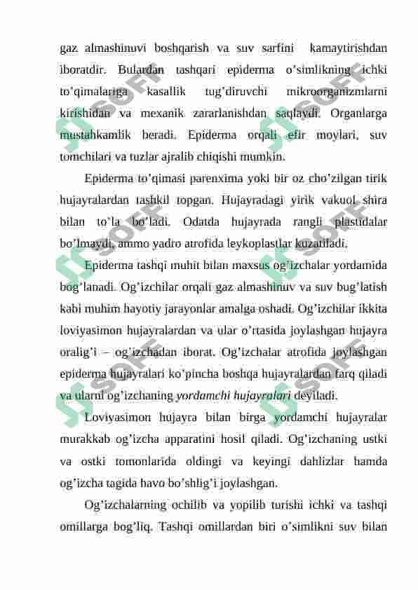 QOPLOVCHI TO'QIMANING TUZILISHI VA AHAMIYATI 3