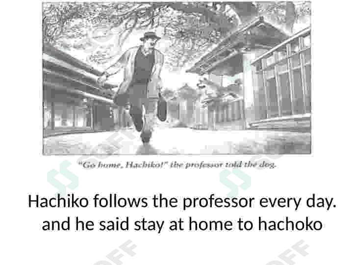 About hachiko 3