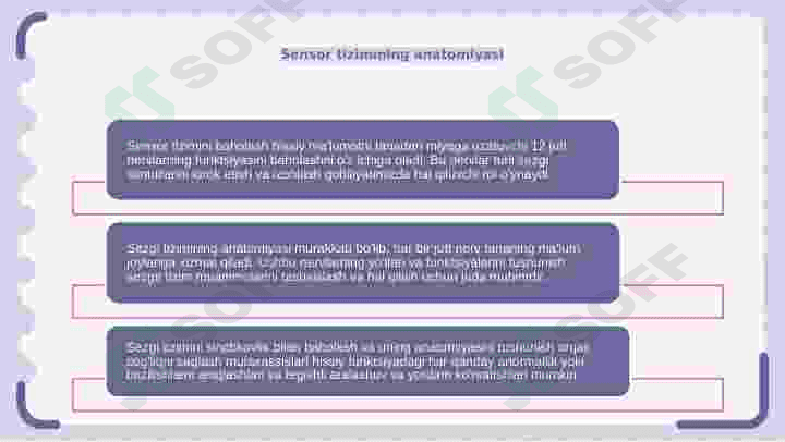 sezgi tizimini baholash 3