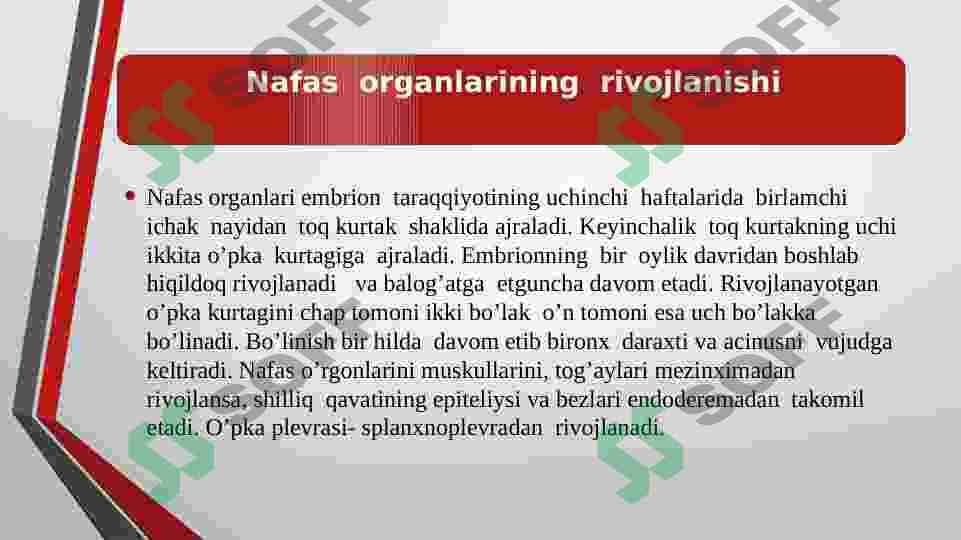 NAFAS OLISH ORGANLARI 3