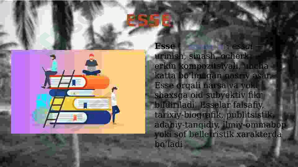 Essening o'ziga xos xusisiyatlari, Esse yozishdagi talablar 3