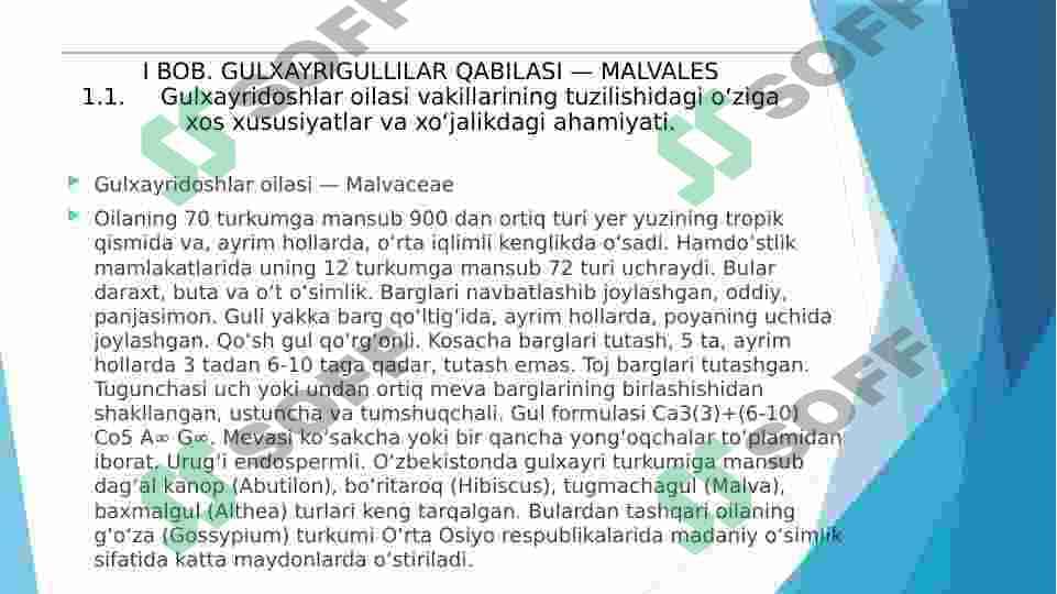 Gulxayridoshlar oilasi vakillarining tuzilishidagi o‘ziga xos xususiyatlar 3
