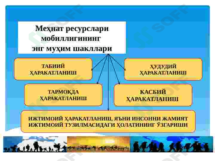 Mehnat bozorida mehnat resurslarining mobilligi va migratsiyasi 3