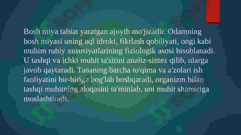 Bosh miya po`stlog`idagi nerv markazlari va ularning shakllanishi 3