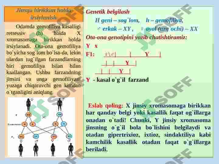 xromosoma mutatsiyalariga doir masalalar yechish 3